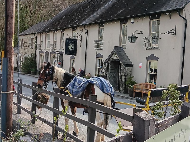 (Key). Published on 24-03-2026