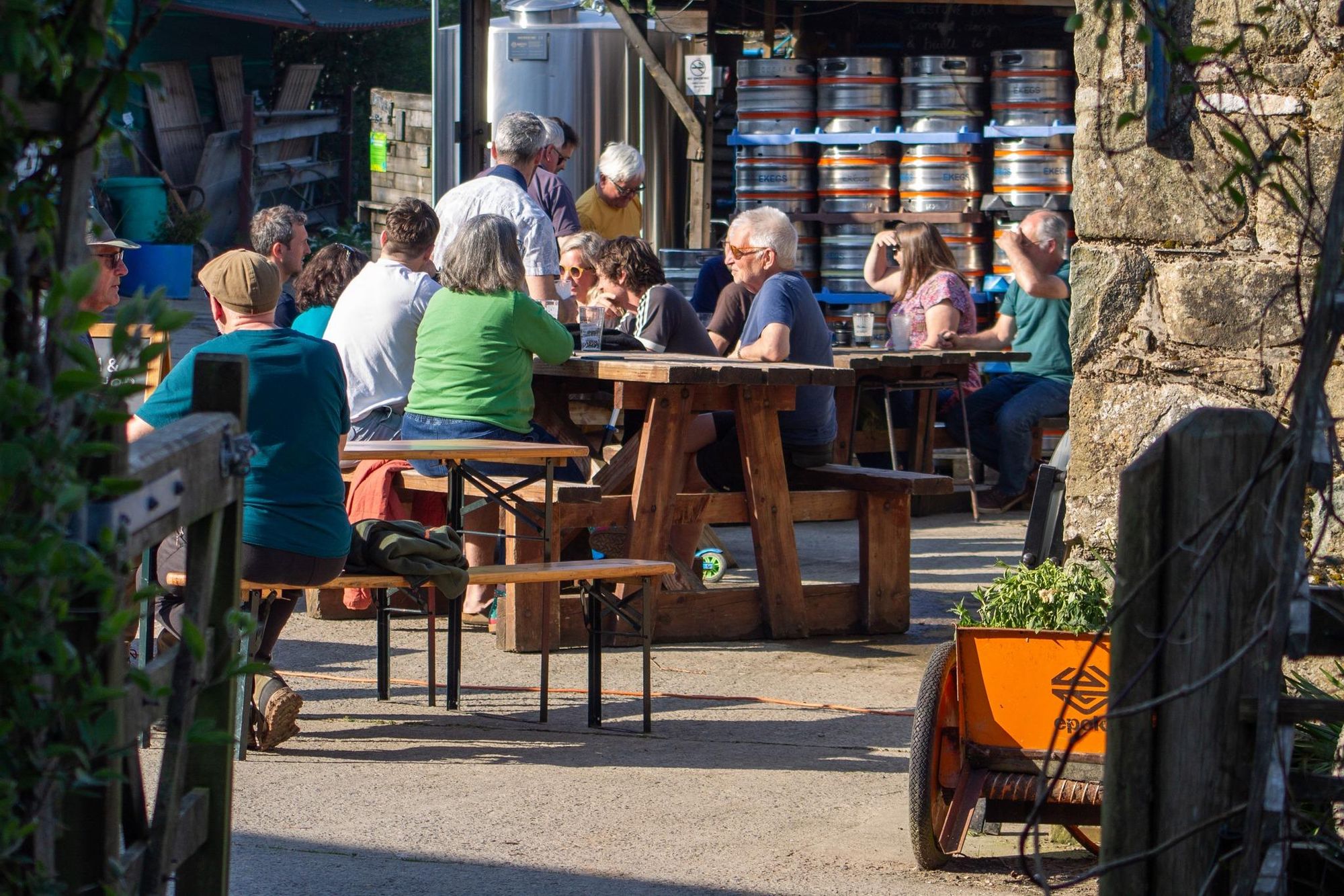 Published on 30-03-2026