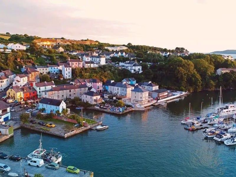 Published on 17-03-2026