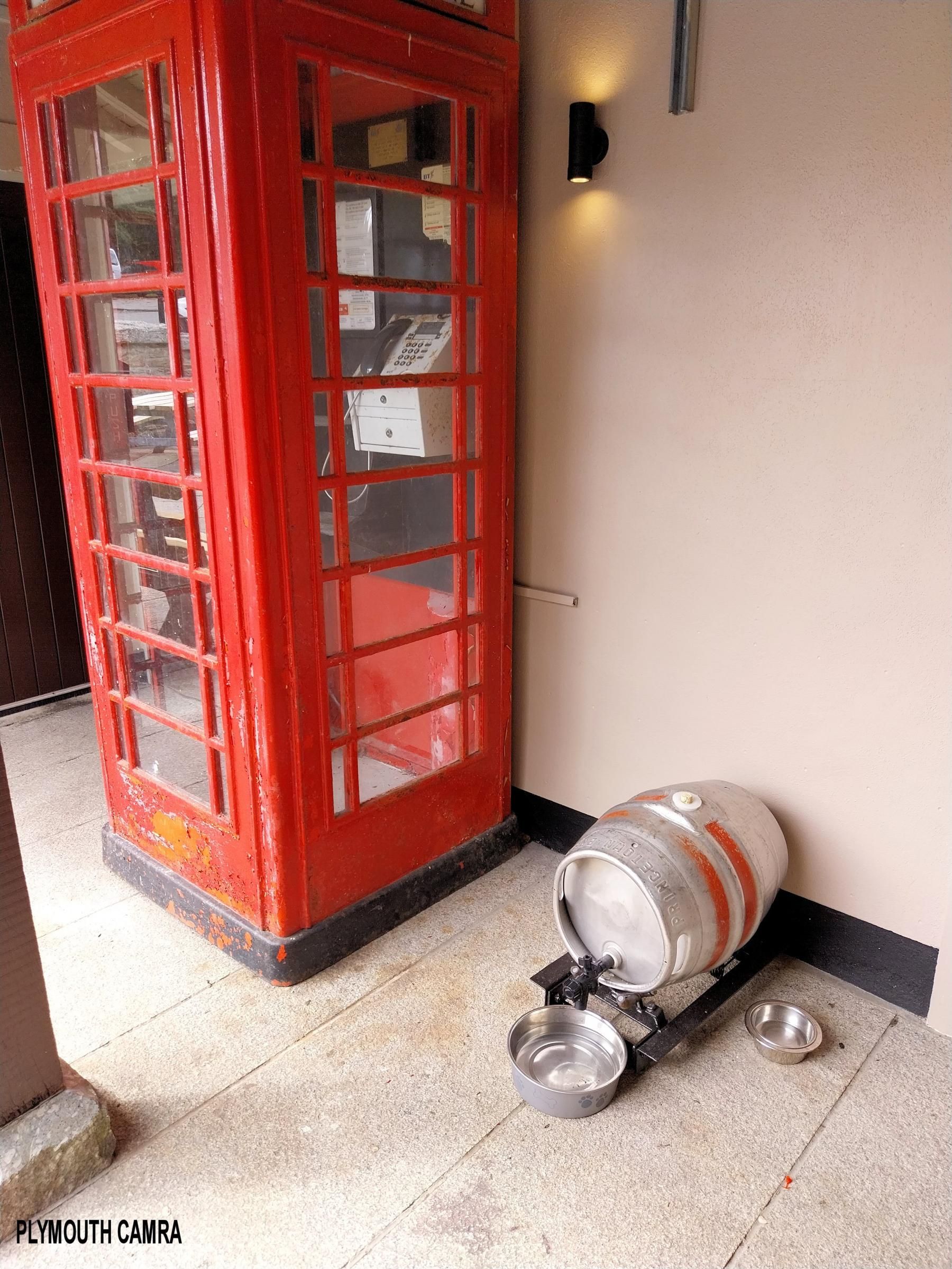 Dog friendly, August 2023. (Pub, External). Published on 01-09-2023