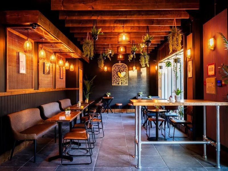 (Pub). Published on 07-12-2025 