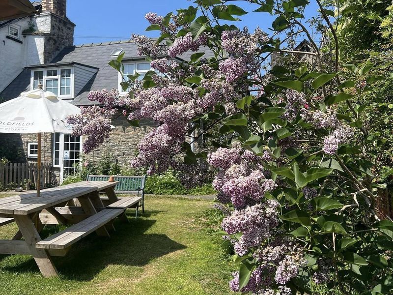 Published on 25-11-2025 