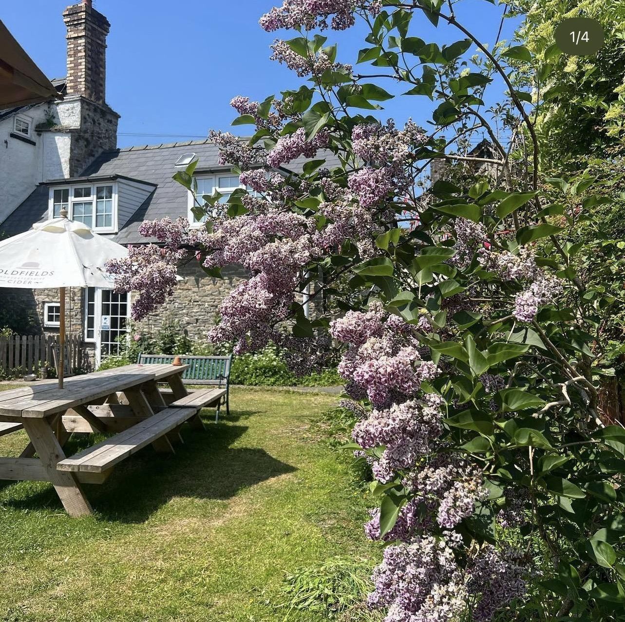 Published on 25-11-2025