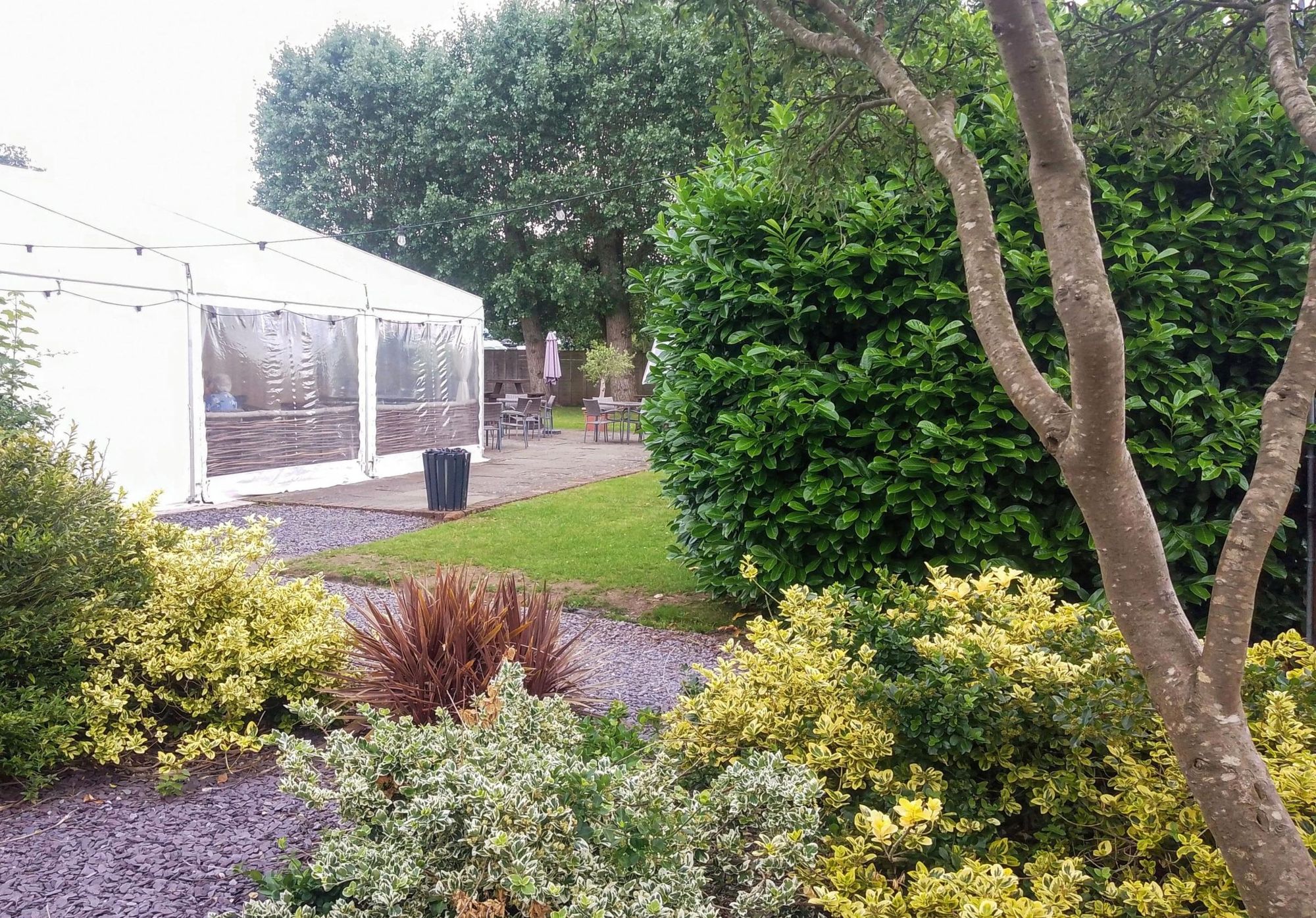 (Garden). Published on 19-06-2026