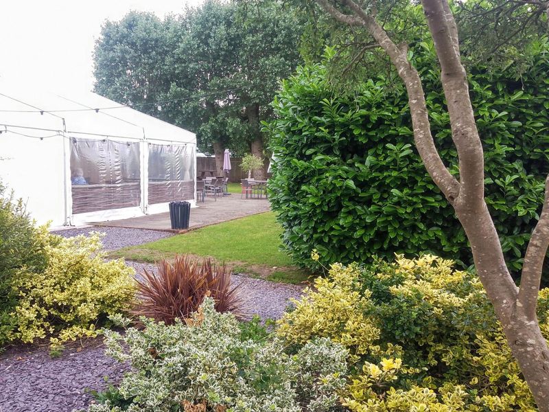 (Garden). Published on 19-06-2026 