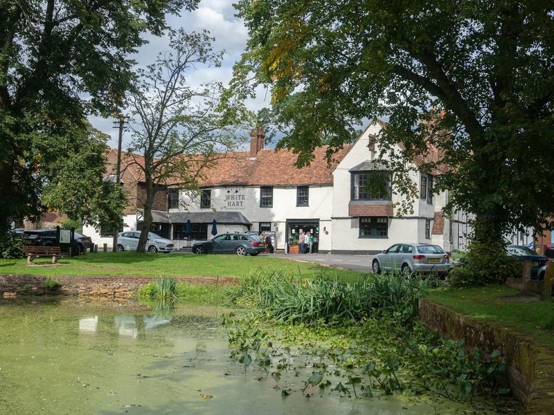 CAMRA Bletchingley Arms Bletchingley Pub With Large Bee