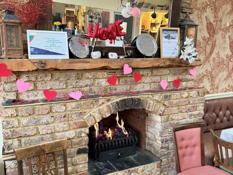 Published on 15-03-2026 