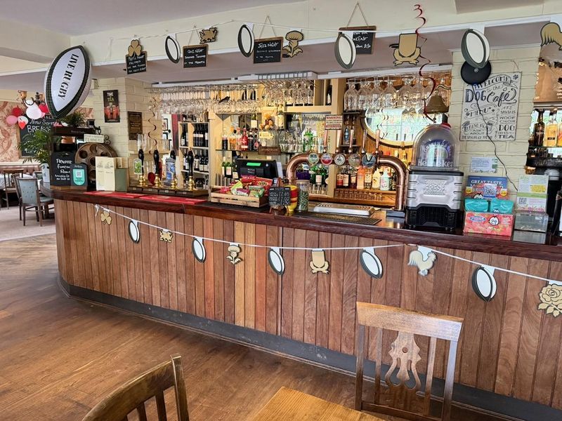 Published on 15-03-2026 