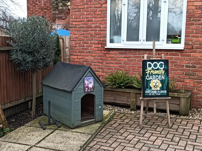 Published on 29-01-2026 