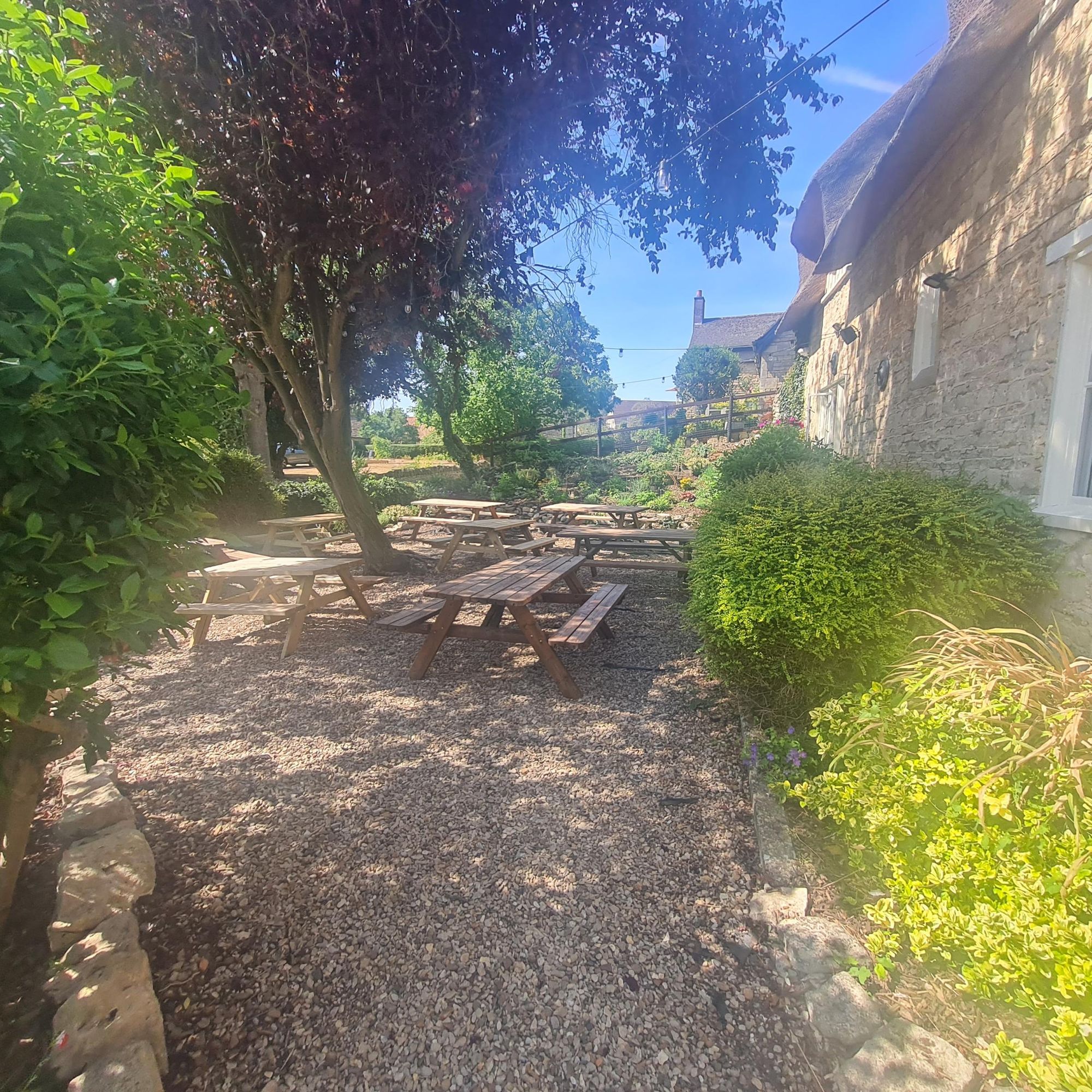 (Garden). Published on 11-08-2026