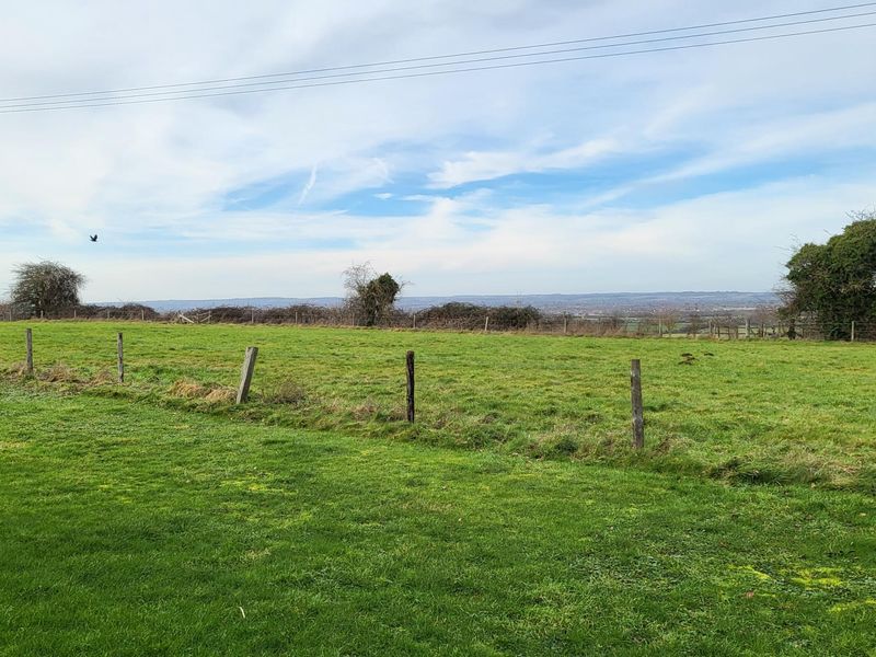 Garden View. (External, Garden). Published on 05-02-2023 