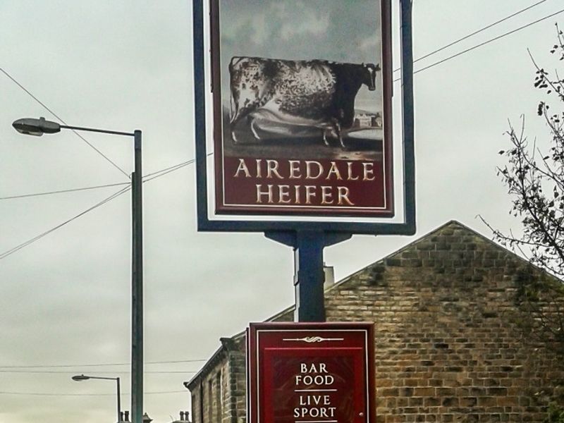 Airedale Heifer. (Pub). Published on 02-12-2013