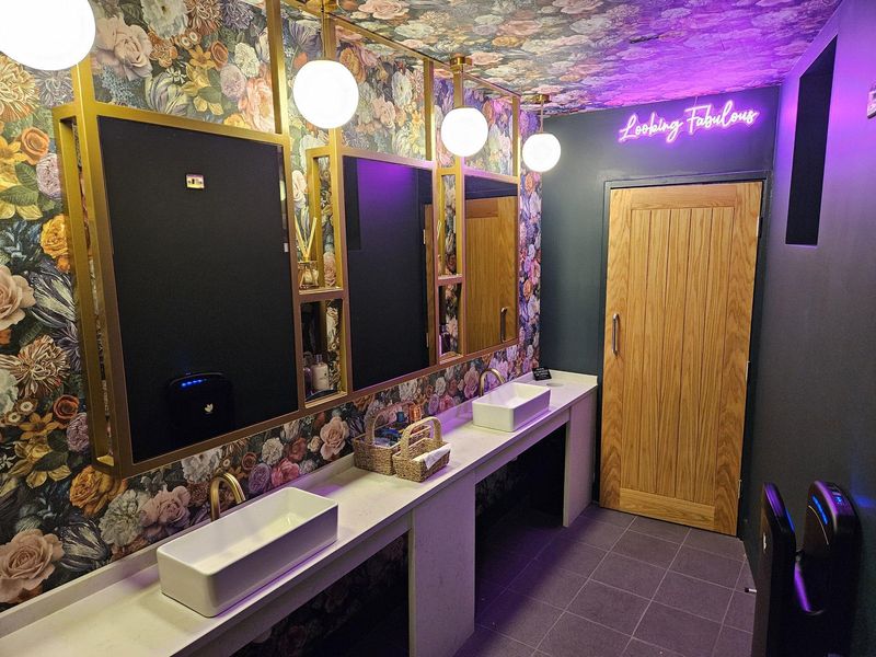 Ladies washroom. (Pub). Published on 11-11-2024