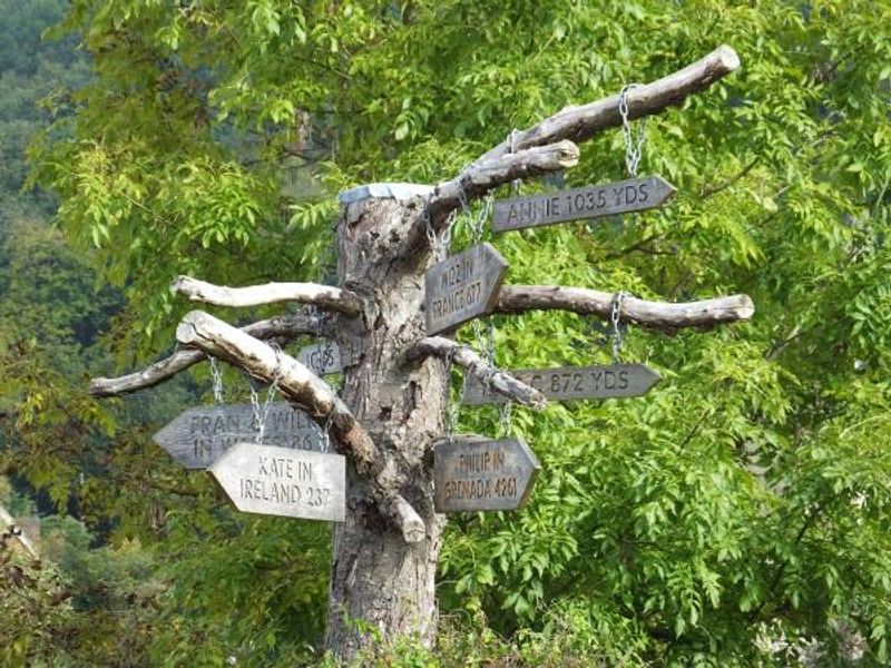 Family tree. (External). Published on 14-10-2014 