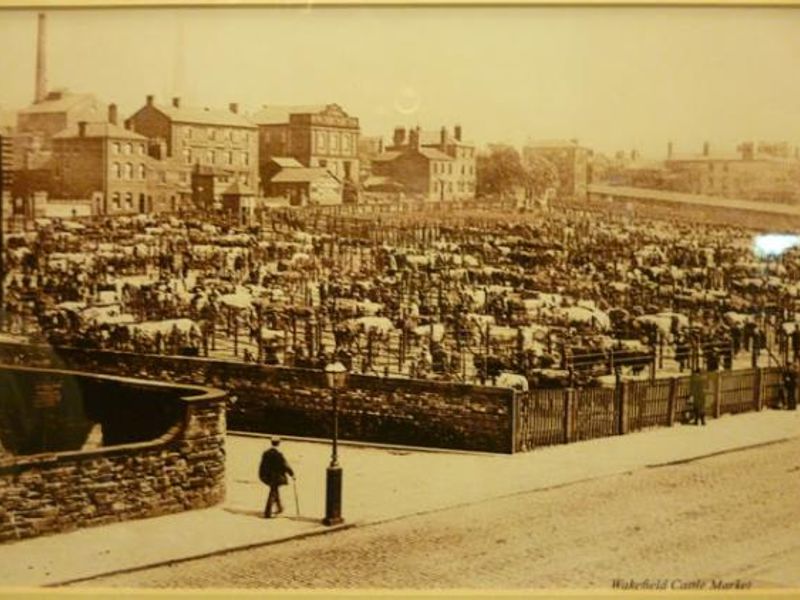 when there were bulls at the cattle market. Published on 07-02-2013