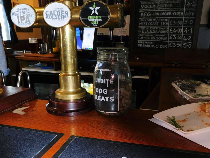 dog treats. (Bar). Published on 16-07-2020 