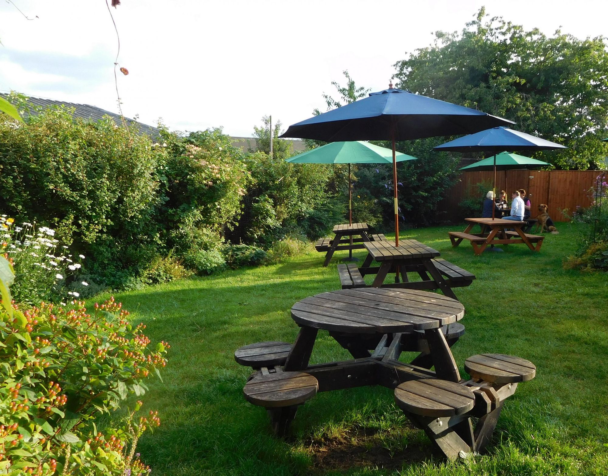 (Garden). Published on 16-07-2020