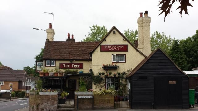 Tree. (Pub, External, Key). Published on 01-01-1970