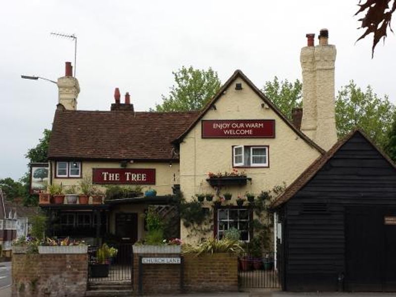 Tree. (Pub, External, Key). Published on 01-01-1970