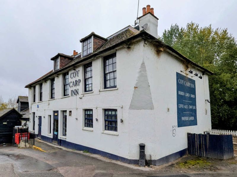 Coy Carp. (Pub, External, Key). Published on 01-01-1970
