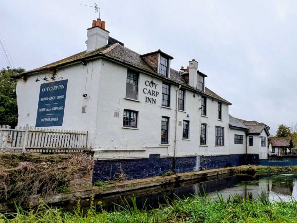Coy Carp. (Pub, External). Published on 01-01-1970