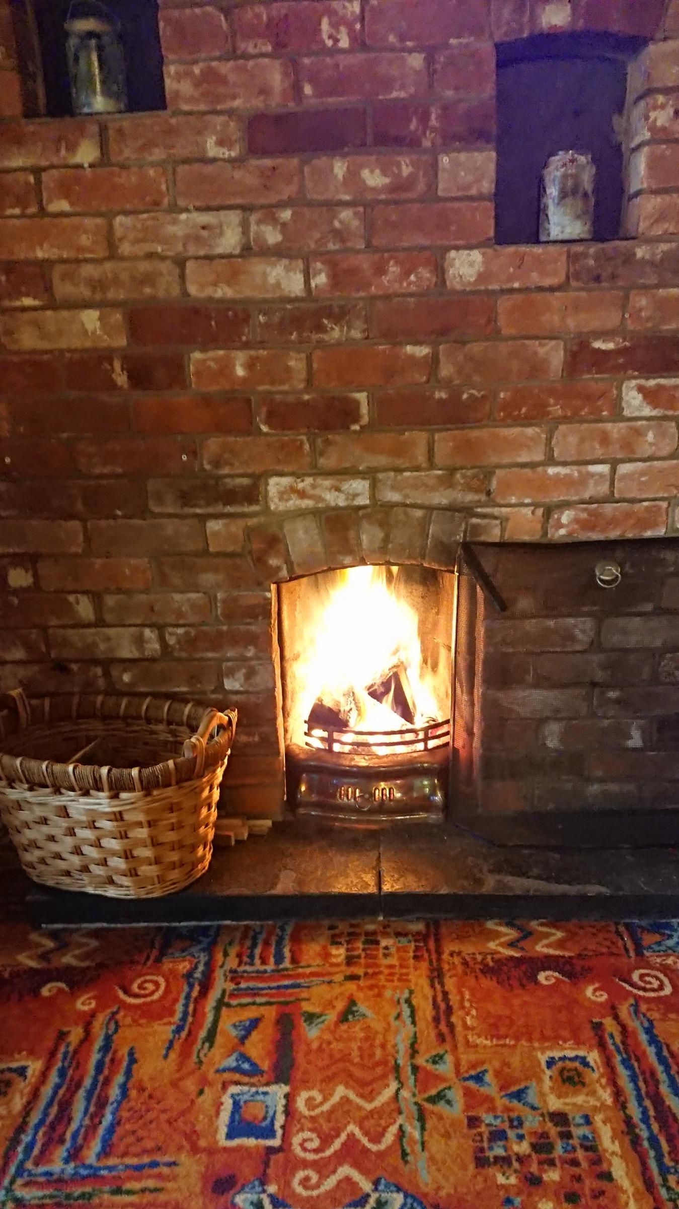 Racehorse Westhall open fire Nov 2021. (Pub). Published on 26-11-2021
