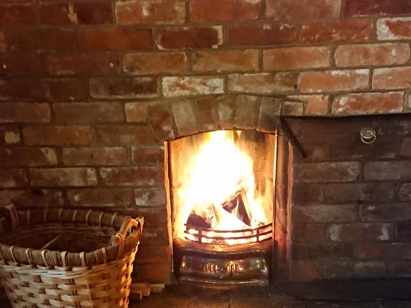 Racehorse Westhall open fire Nov 2021. (Pub). Published on 26-11-2021 