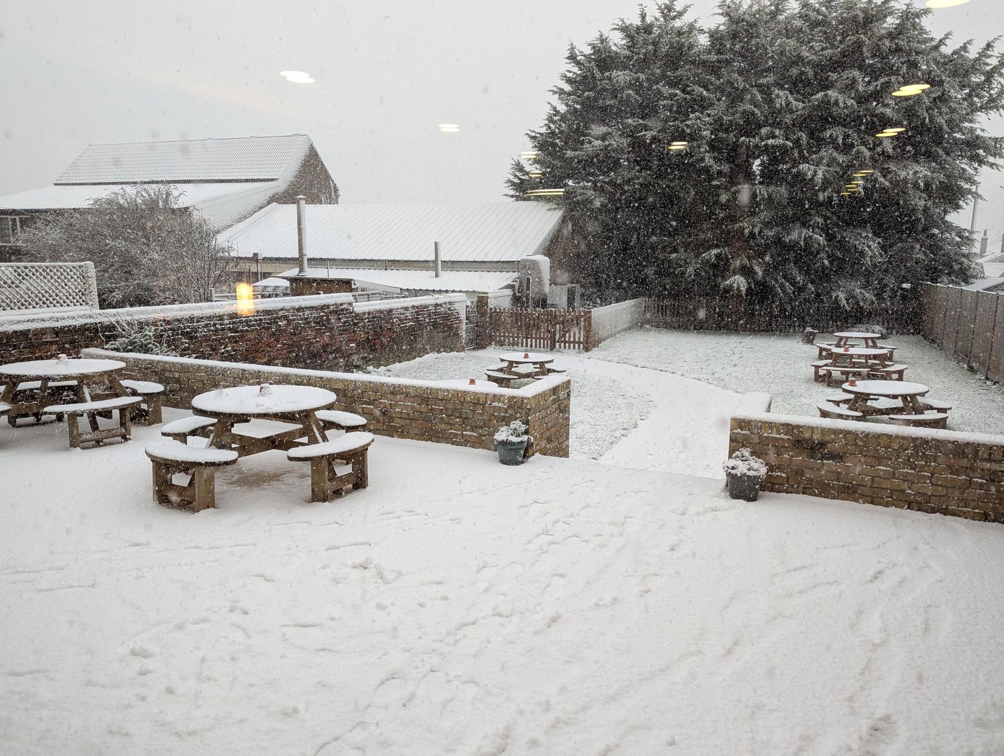 Brewery Tap Lowestoft winter garden 030126.jpg. (Pub, External, Garden). Published on 04-01-2026