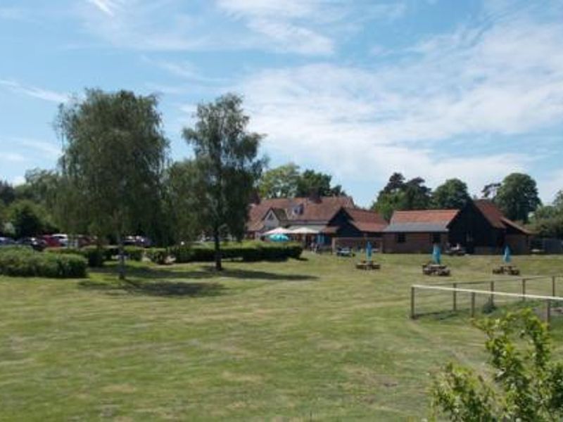 White Hart Inn Blythburgh - garden. (Pub, External, Garden). Published on 05-06-2015