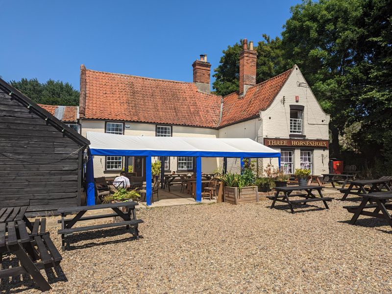 Three Horseshoes North Cove 150623. (Pub, External, Garden, Key). Published on 16-06-2023
