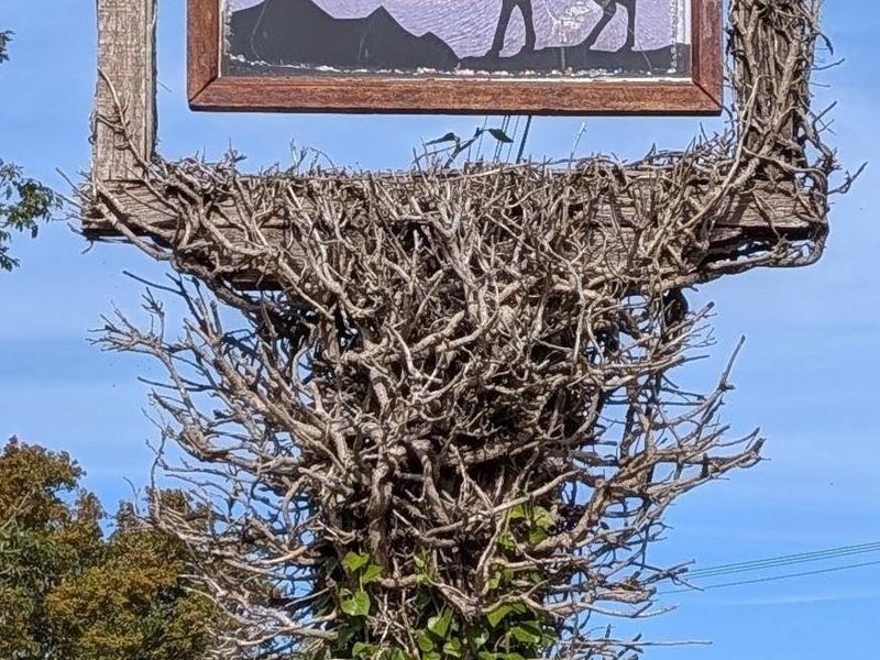 Buck Rumburgh pub sign 260926. (Pub, External, Sign). Published on 27-09-2026