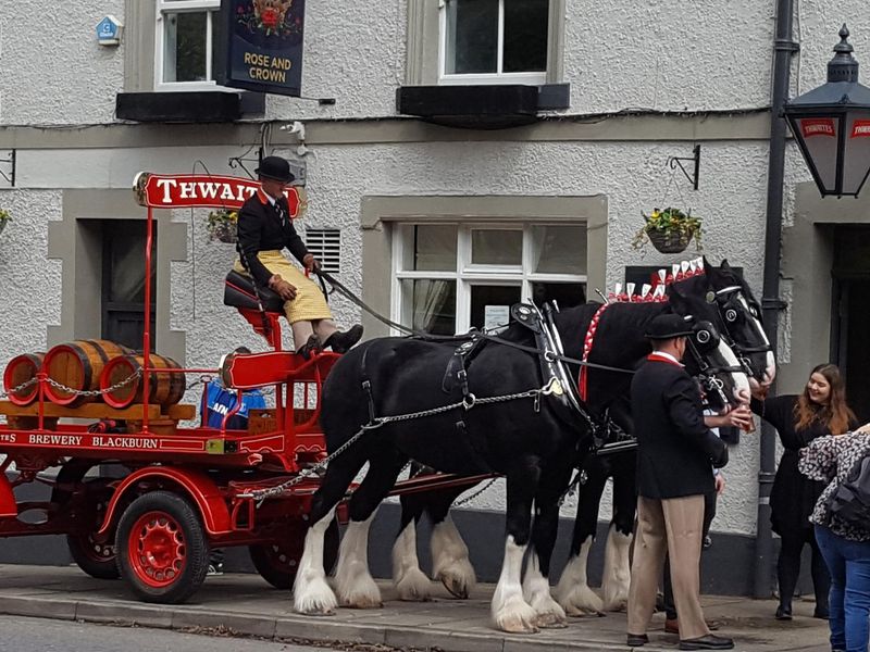 Rose & Crown 2018. (External). Published on 07-05-2018