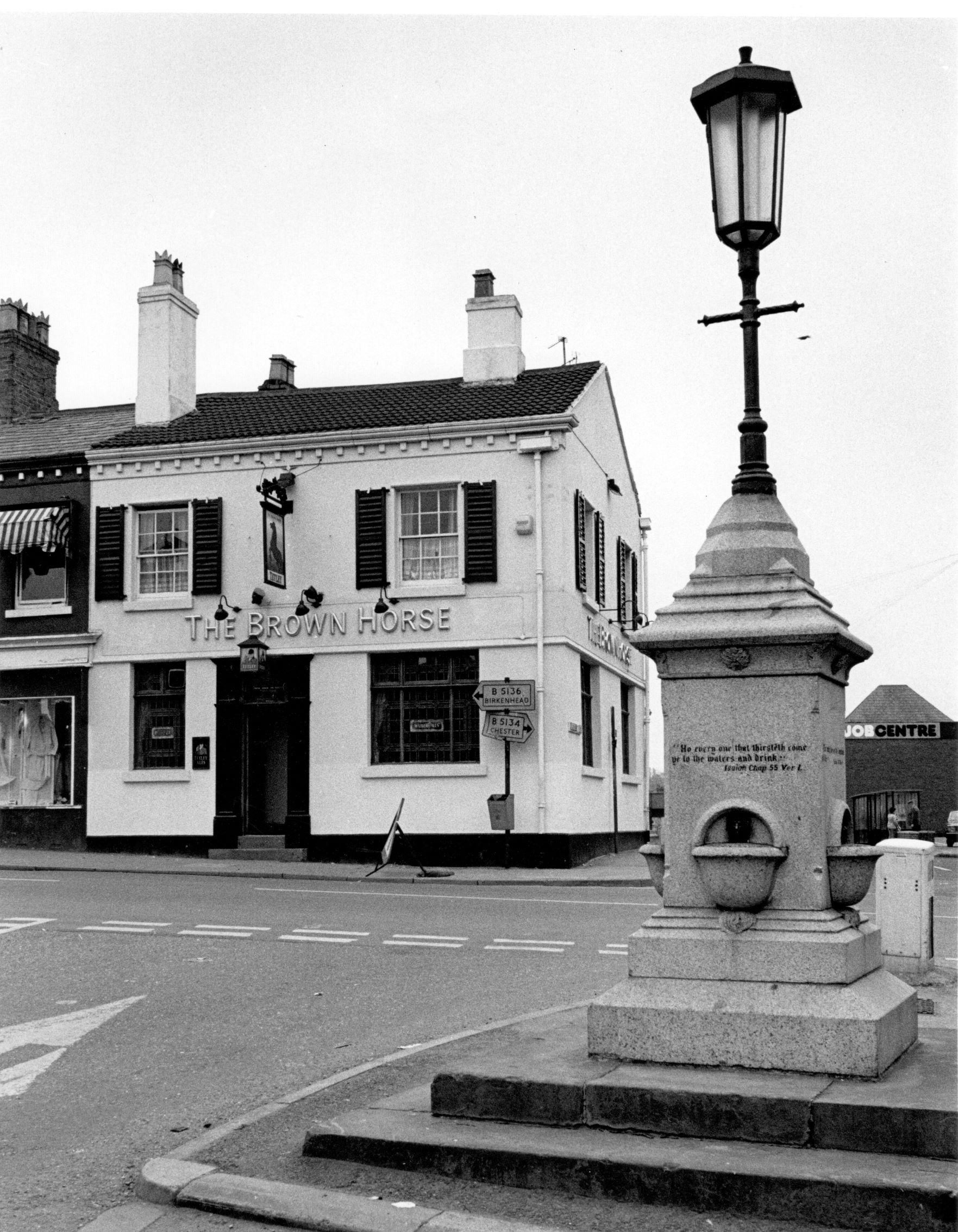 Brown Horse in 1985. Published on 22-09-2018