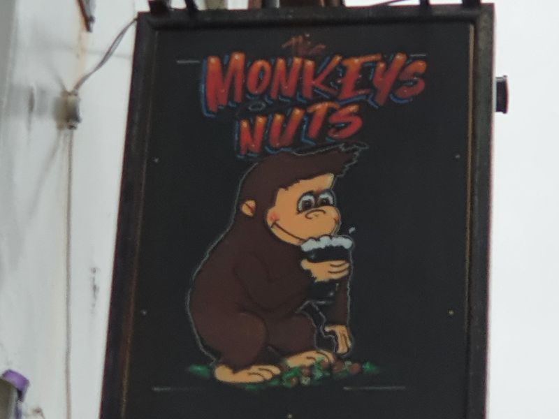 Monkeys Nuts Pub Sign December 2021. (Sign). Published on 31-12-2021 