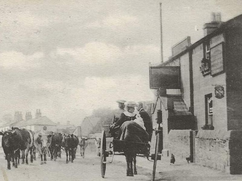 Published on 29-08-2021 