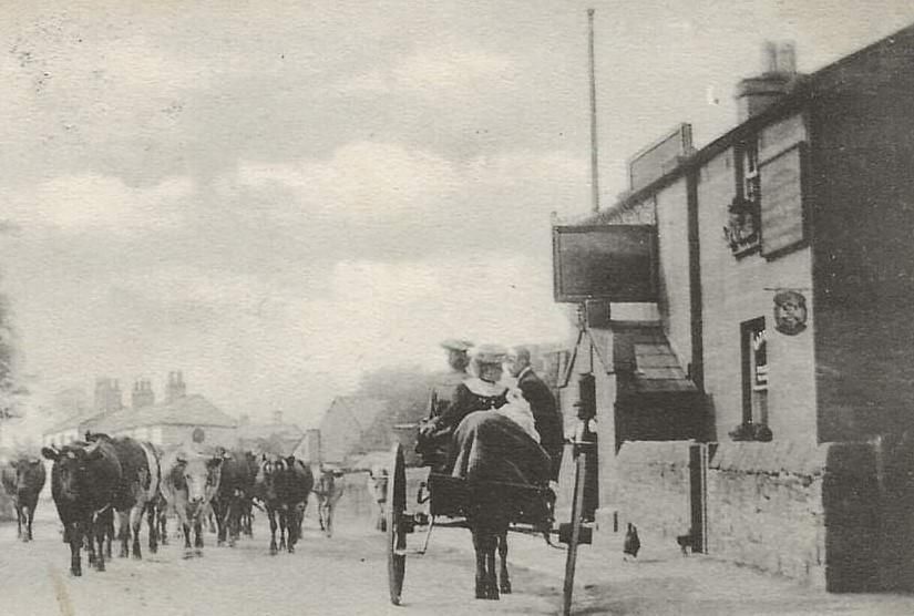 Published on 29-08-2021