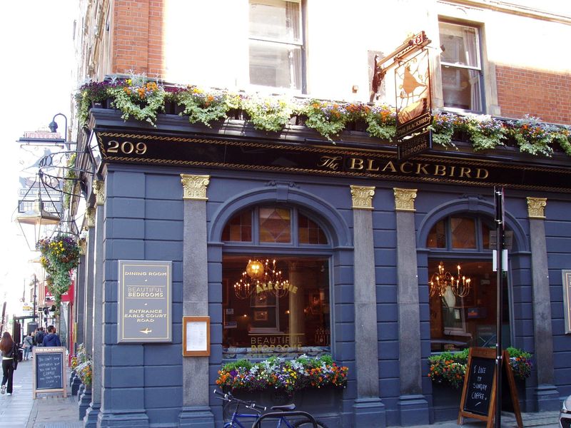 Blackbird SW5-2 May 2019. (Pub, External). Published on 12-05-2019