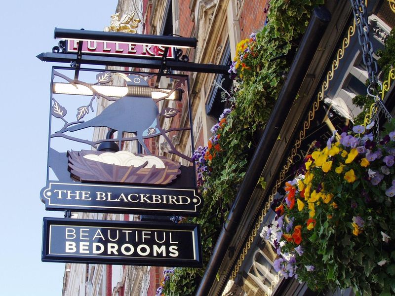 Blackbird SW5-sign May 2019. (Pub, External, Sign). Published on 12-05-2019 