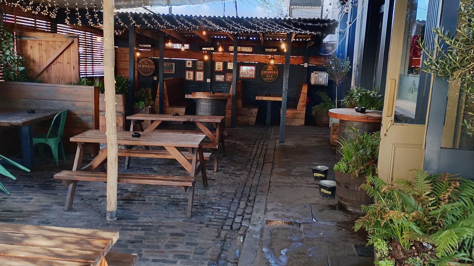 Front garden taken 4/2/26. (Garden). Published on 04-02-2026