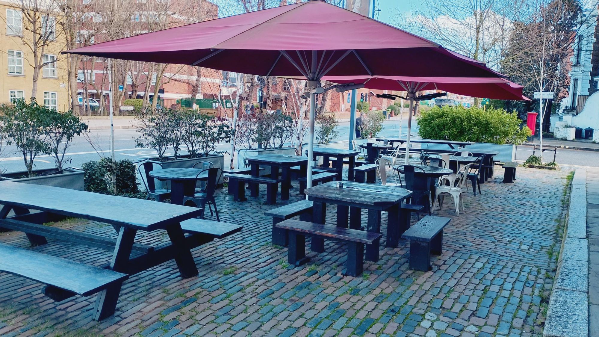 Taken 4/2/26. (Garden). Published on 04-02-2026