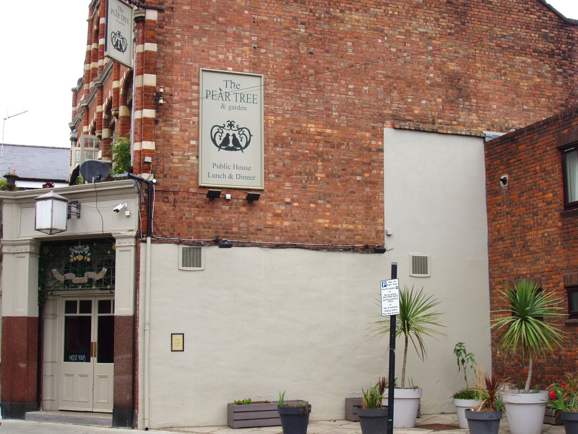 Pear Tree-3 July 2025. (Pub, External). Published on 07-07-2025