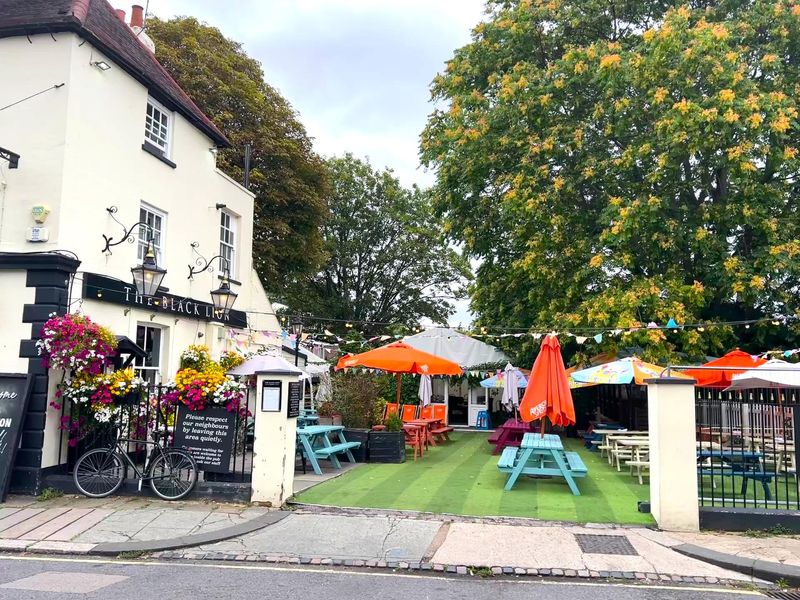 Black Lion W6 garden. (Pub, Garden). Published on 03-09-2025 