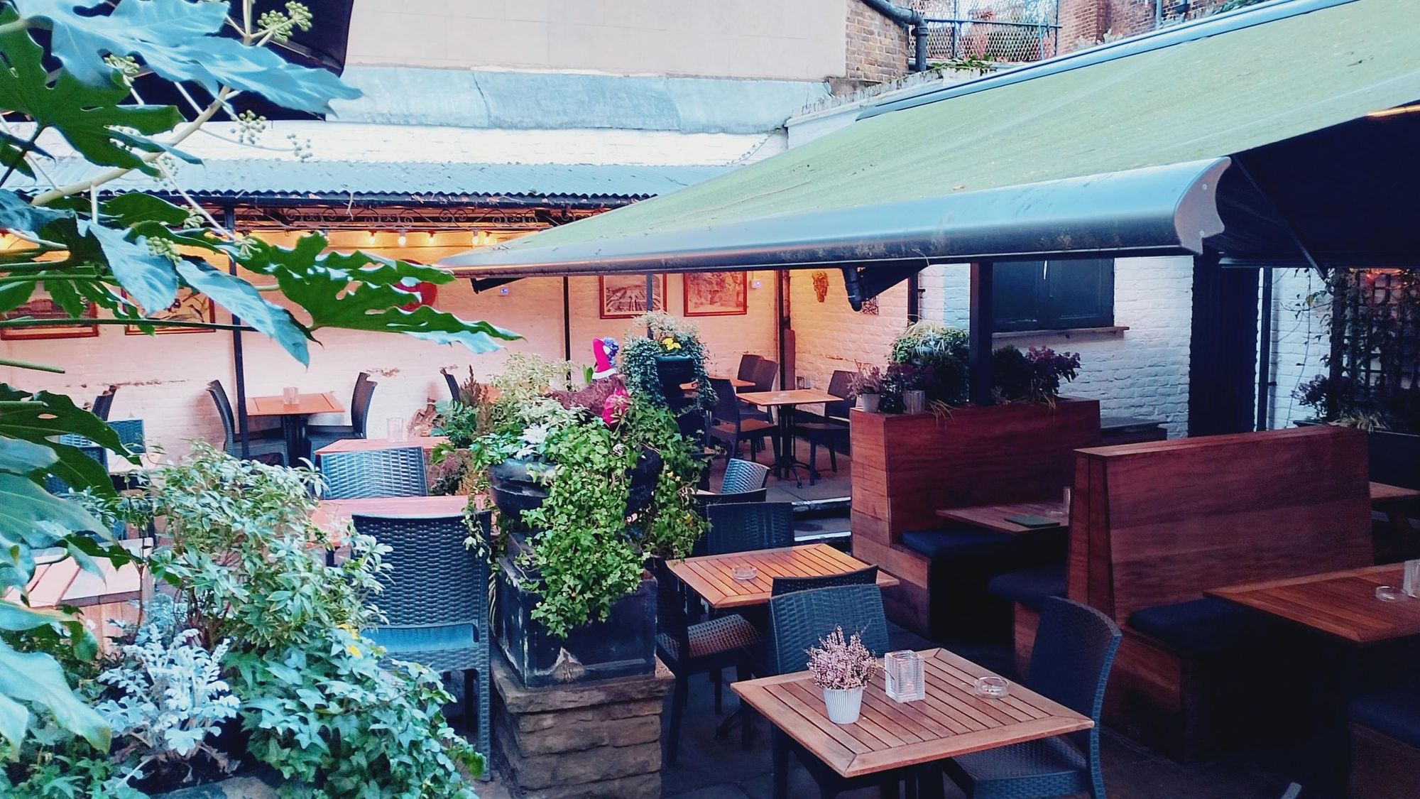 Taken 4/2/26. (Garden). Published on 04-02-2026