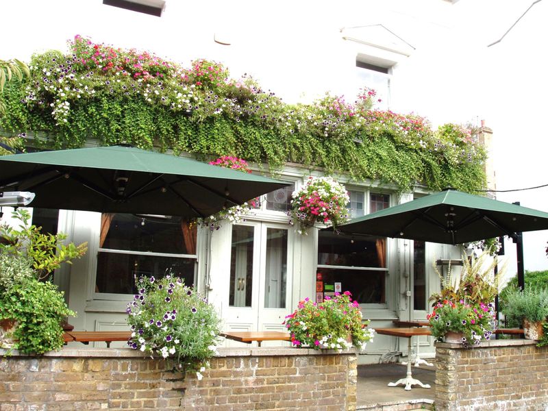 Ladbroke Arms Sept 2023. (Pub, External). Published on 24-09-2023 