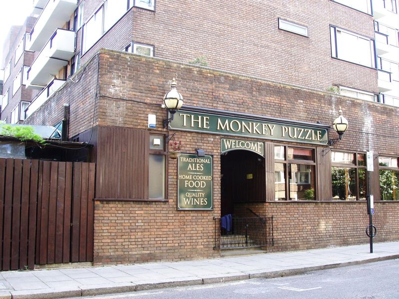 Monkey Puzzle-1 July 2023. (Pub, External, Key). Published on 02-07-2023