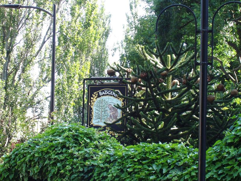 Monkey Puzzle-3 July 2023. (Pub, Sign). Published on 02-07-2023 