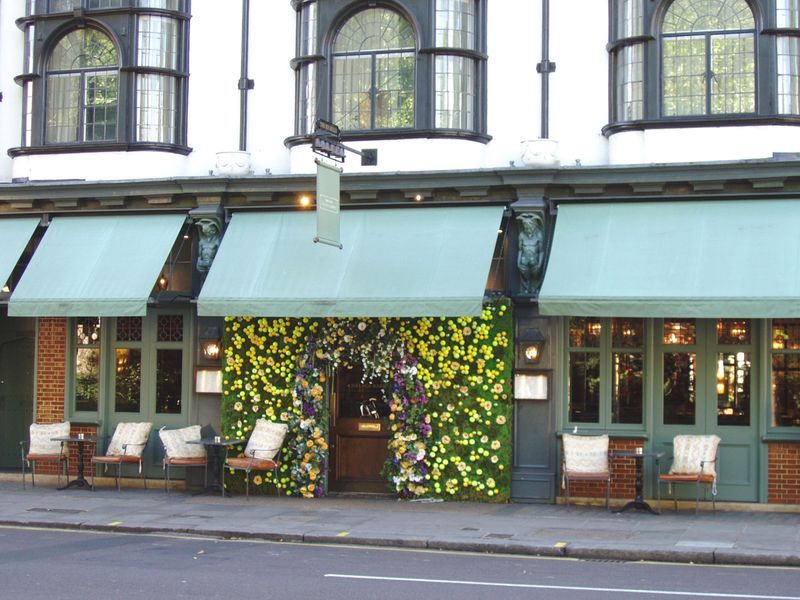 Ivy Chelsea Garden-2 July 2017. (Pub, External). Published on 02-07-2017