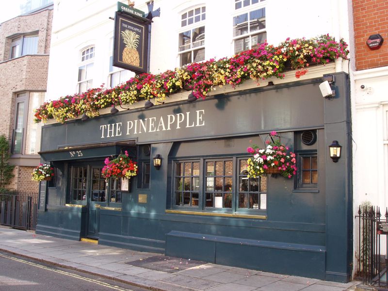 Pineapple-1 Aug 2024. (Pub, External, Key). Published on 25-08-2024 