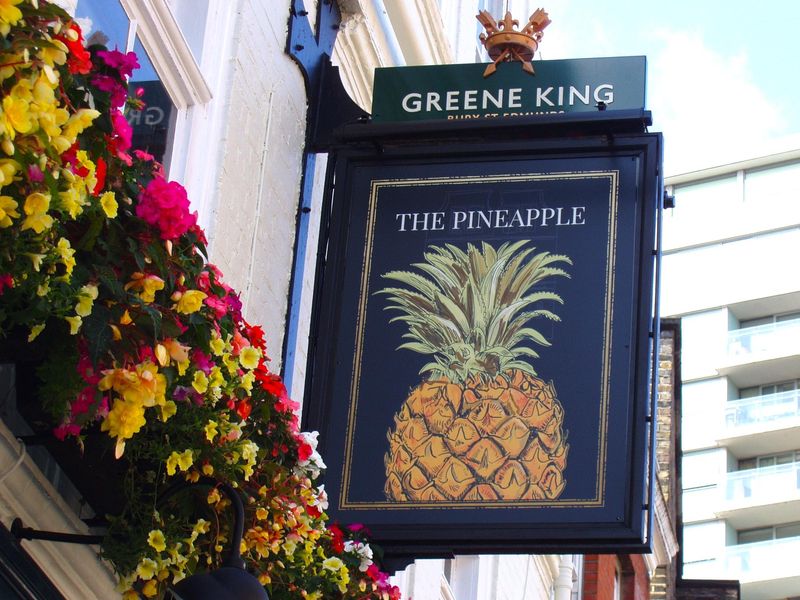 Pineapple-3 Aug 2024. (Pub, External, Sign). Published on 25-08-2024