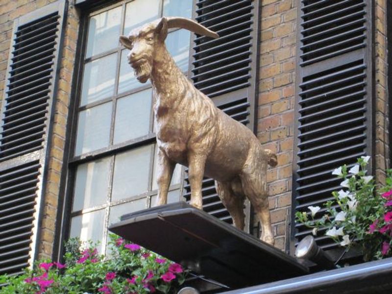 Goat Tavern W1 Goat. (Pub, External). Published on 01-07-2013